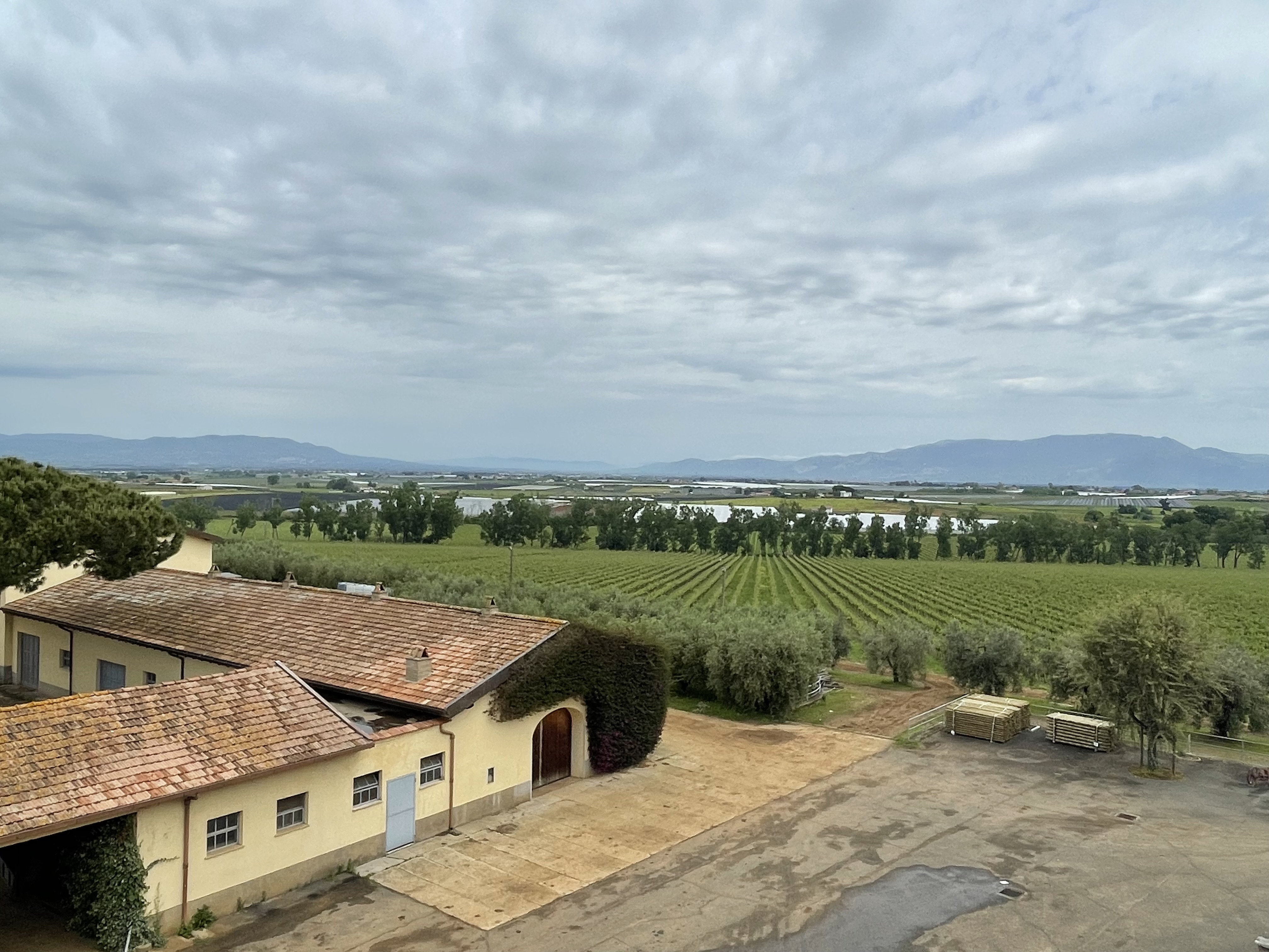 Campania winery with vineyard and countryside view, Southern Italy