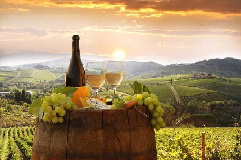 Great Wines of Northern Italy – wine and landscape