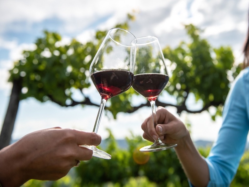 Great Wines of Tuscany – vineyards and wine tasting