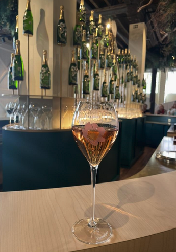 Champagne region France wine tour
