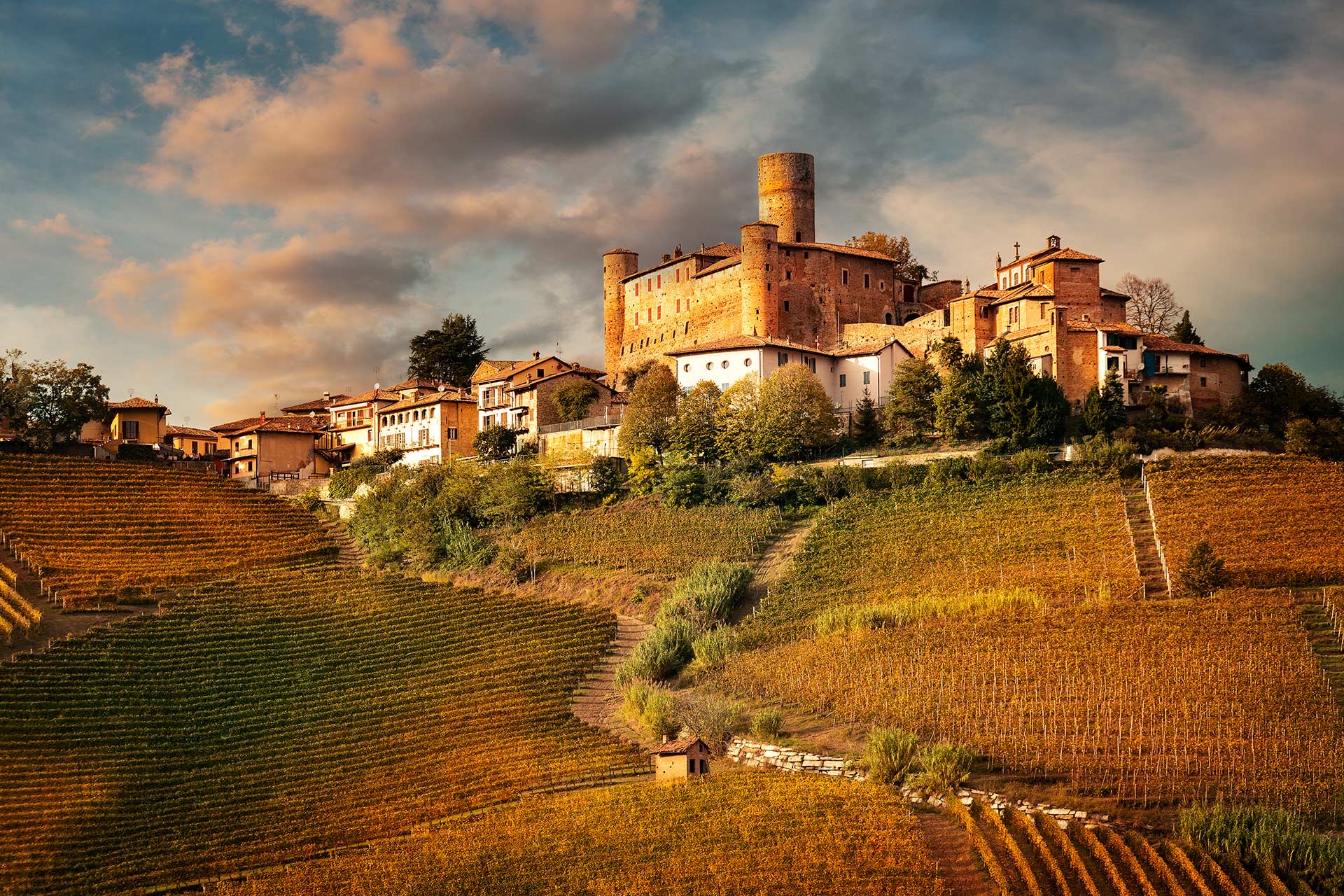 Vineyards and historic hilltop village – Di Vine and Dine Experiences