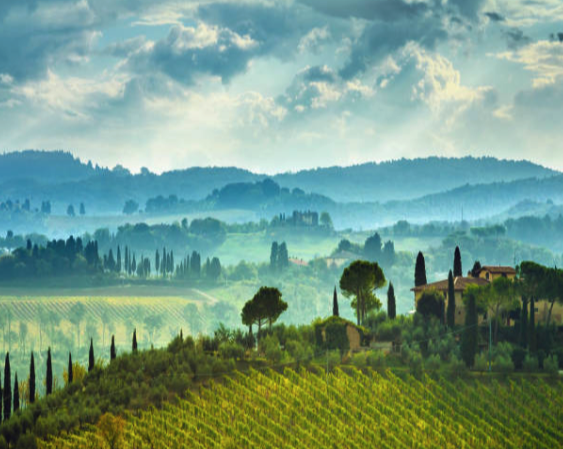 Tuscany vineyard landscape, rolling hills and cypress trees