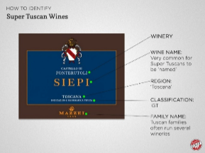 Tuscan winery and vineyards