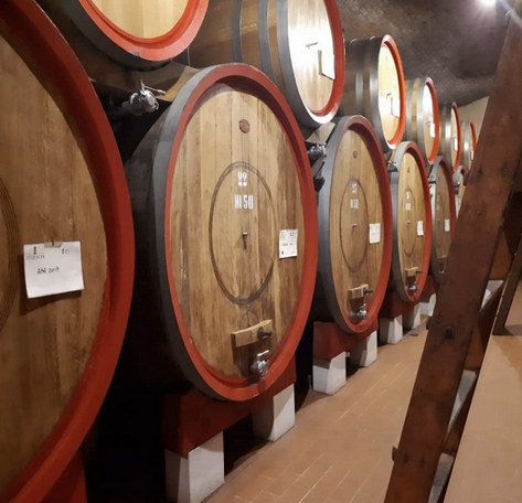 Amarone wine tasting Valpolicella